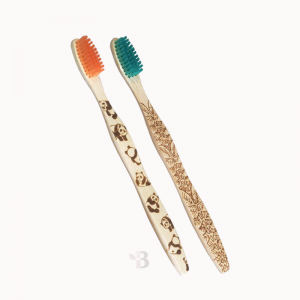 bamboo toothbrush 2 pack
