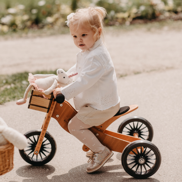 Bamboo Tiny Tots Plus 2-in-1 Tricycle and Balance Bike